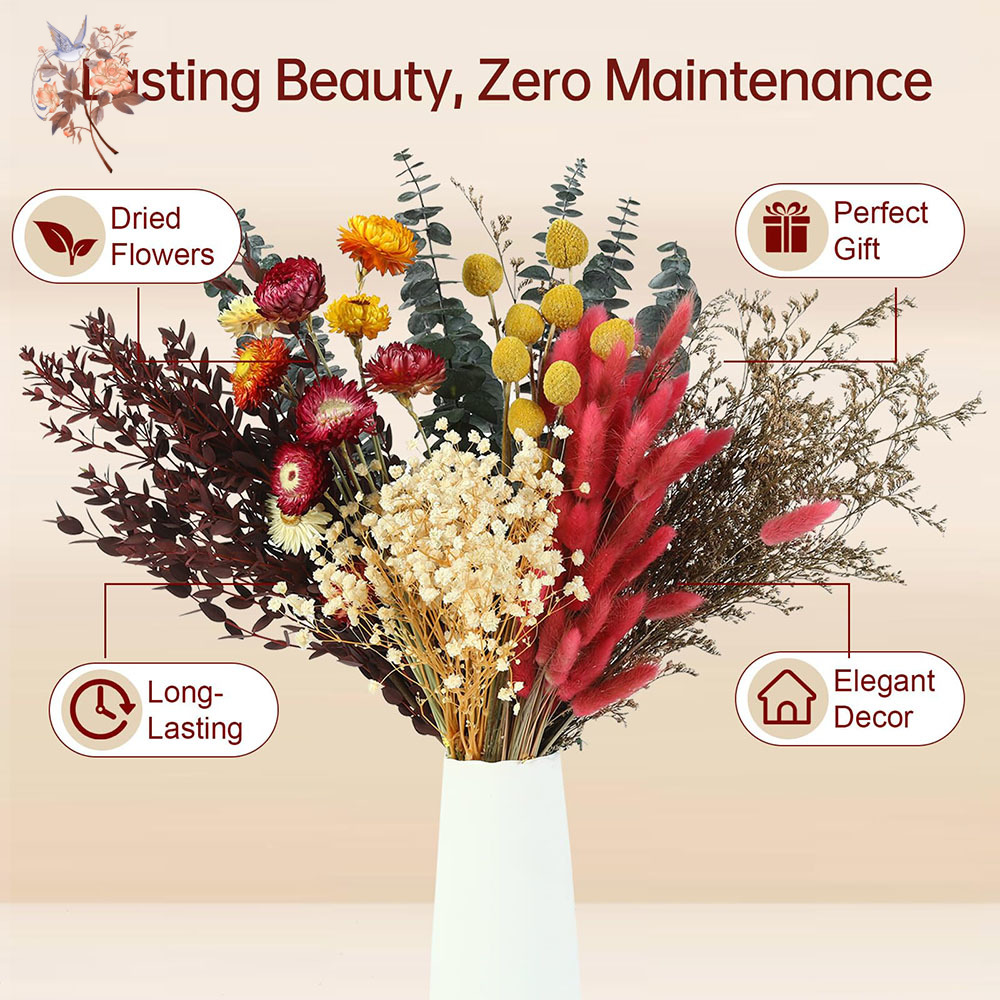 Set de Flores Secas al por May - Florist Flower Supply reseña y precio